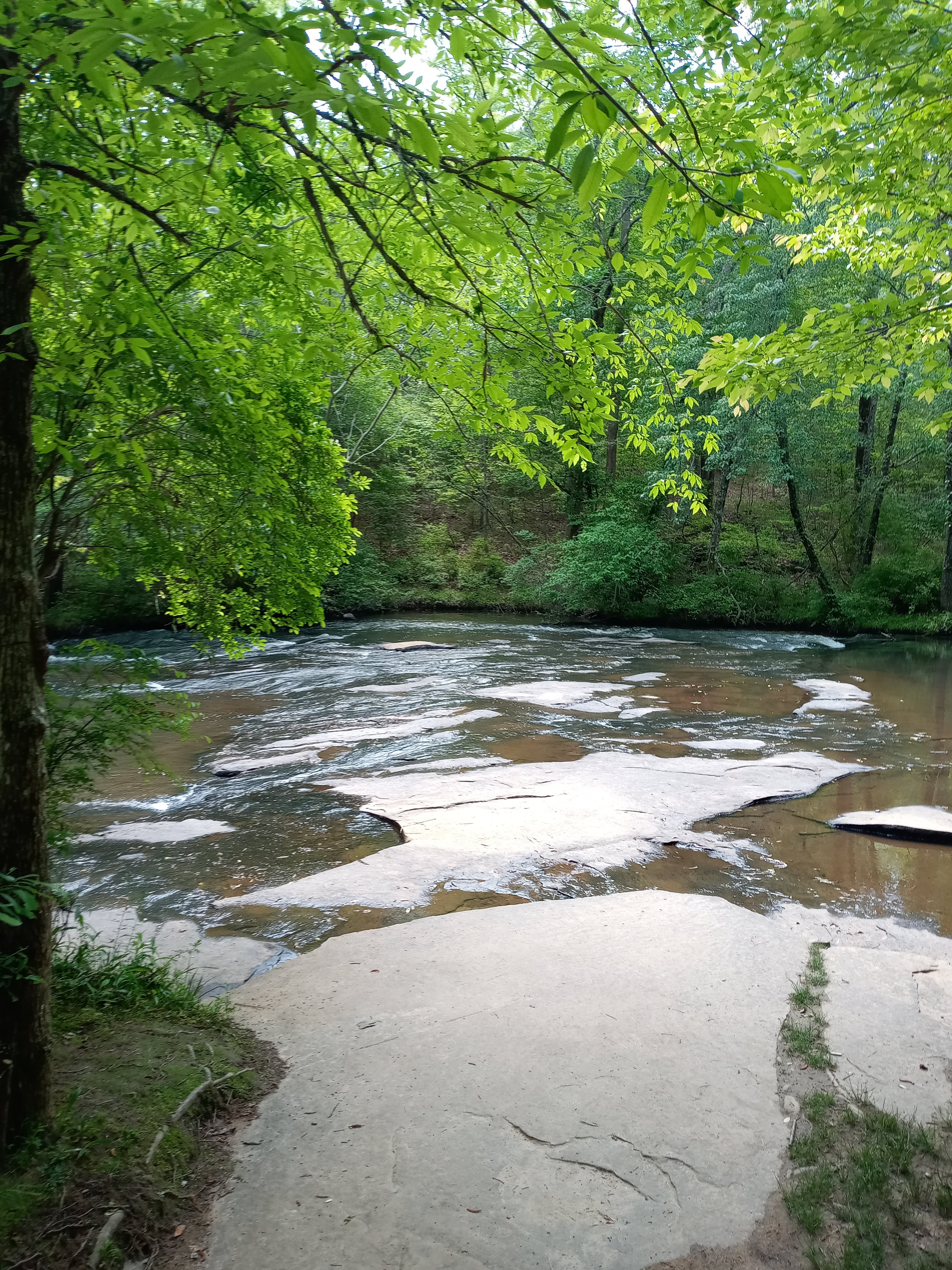 Line_Creek_7