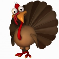 Thanksgiving and the Fire Chicken: the hot and cold of foods – a quick holiday primer Image