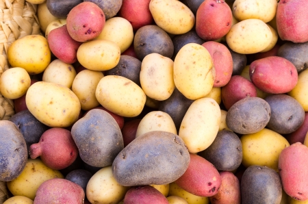 Are Potatoes A Healthy Choice? Image
